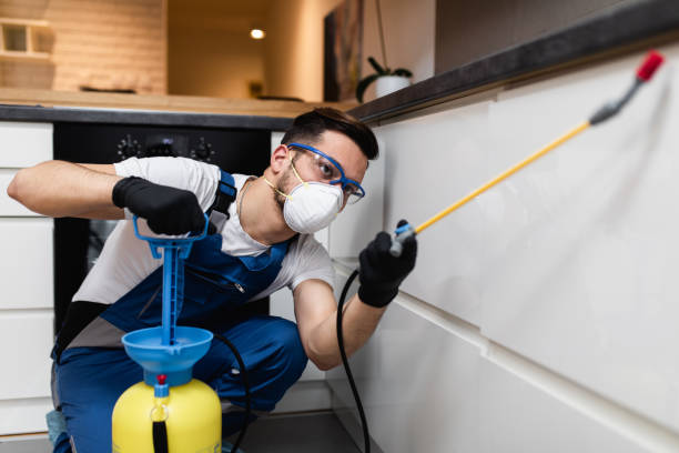 Best Wasp Removal Services  in Fayetteville, NY