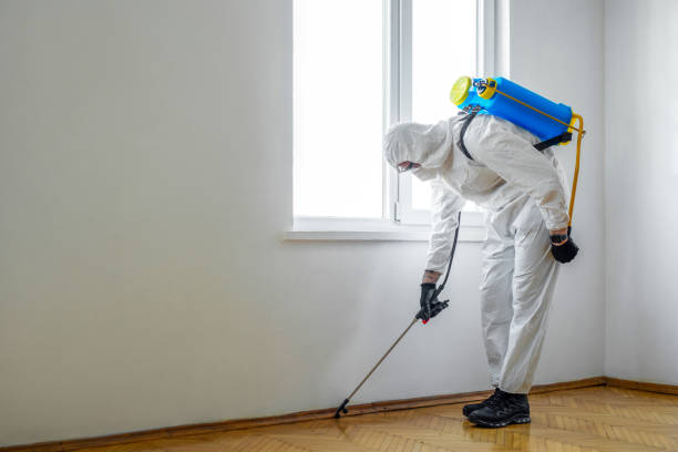 Best Flea Control Services  in Fayetteville, NY