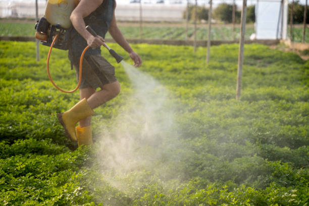 Best Local Pest Control Services  in Fayetteville, NY