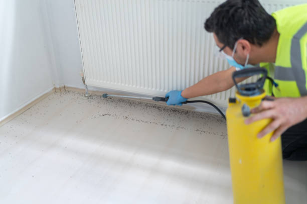 Best Commercial Pest Control Services  in Fayetteville, NY